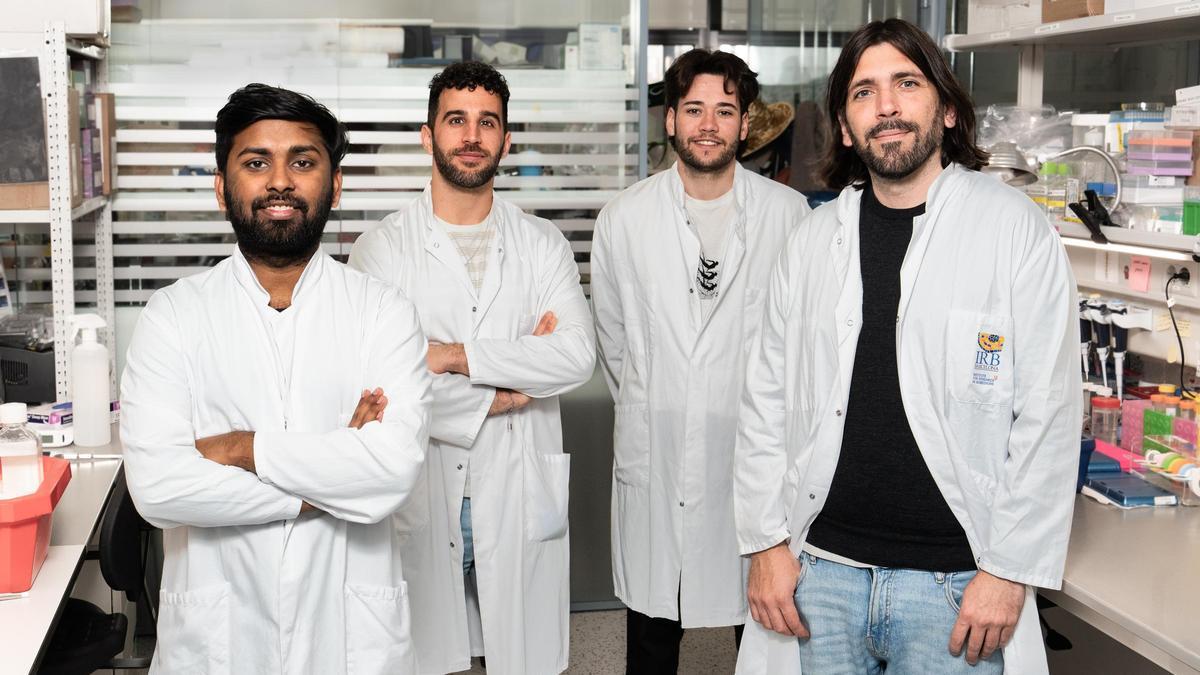 Los científicos del IRB Barcelona que han descubierto cómo las mismas mutaciones dan lugar a leucemias diferentes. De izq. a derecha: Indranil Singh, Daniel Fernández, Pedro Sánchez y Alejo Rodríguez-Fraticelli
