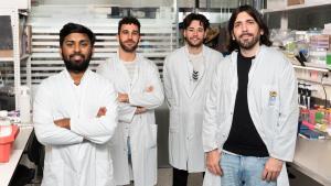 Los científicos del IRB Barcelona que han descubierto cómo las mismas mutaciones dan lugar a leucemias diferentes. De izq. a derecha: Indranil Singh, Daniel Fernández, Pedro Sánchez y Alejo Rodríguez-Fraticelli