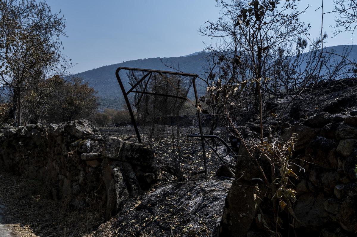 Las imágenes | Diez días de incendio en Jarilla: el adiós al paraíso verde Las imágenes | Diez días de incendio en Jarilla: el adiós al paraíso verde