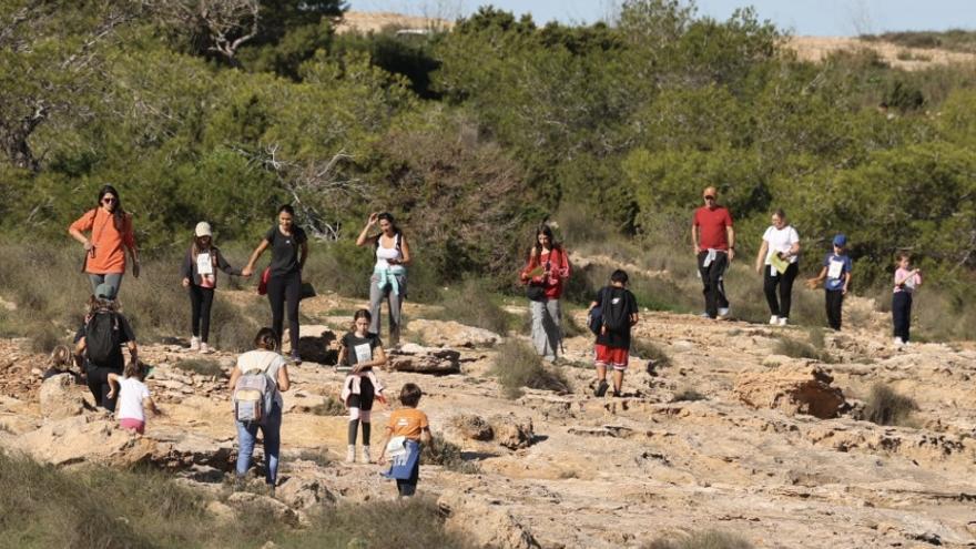 Yincana por la conservación de las abejas y las mariposas de Ibiza