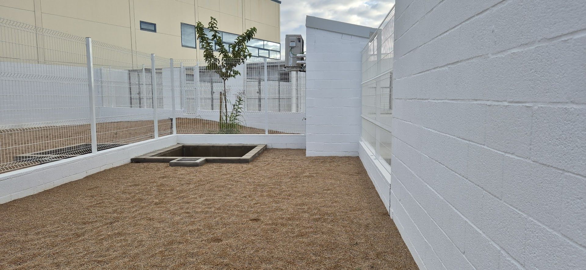 Inauguración del Centro de Acogida de Animales de la Safor en Tavernes de la Valldigna