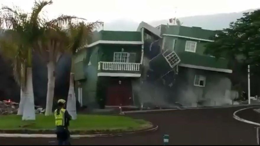 VÍDEO | Las impresionantes imágenes de una palmera afincada en Zamora