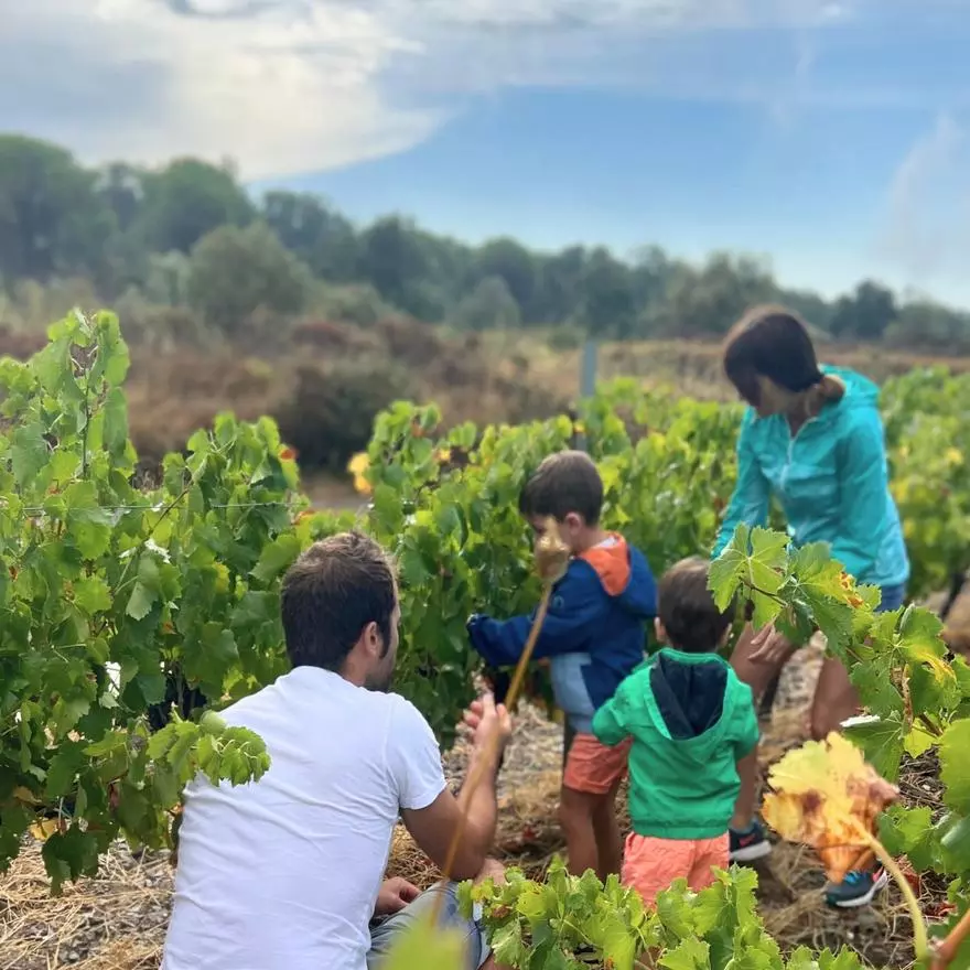 7 i 21 de setembre | Fes-te el Most per a tota la Família