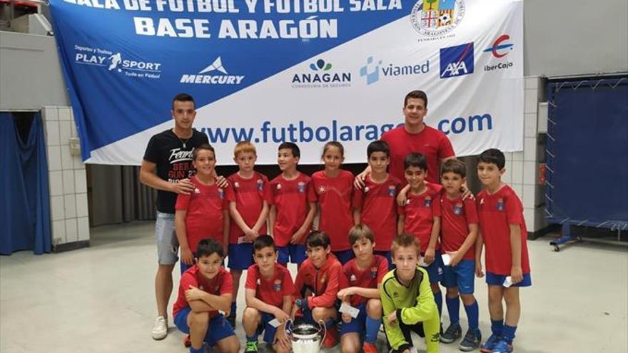 Liga para el benjamín