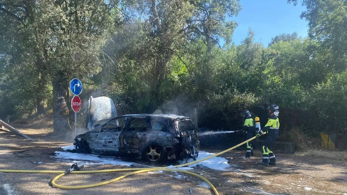 Un coche en llamas provoca un pequeño incendio cerca de Peleas de Arriba