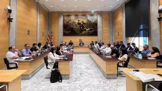 La Diputació de Girona reforça el suport a la prevenció d'incendis i la gestió forestal amb subvencions