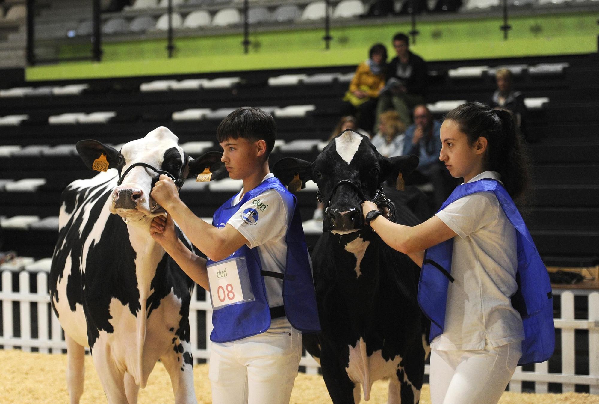 La última jornada de la 29º Feiradeza, en imágenes