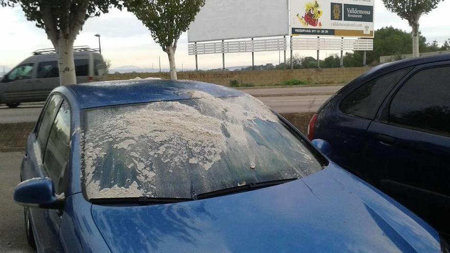 Arrojan harina y huevos contra el coche de la líder de El Pi, Catalina Riera, que luego también fue multado