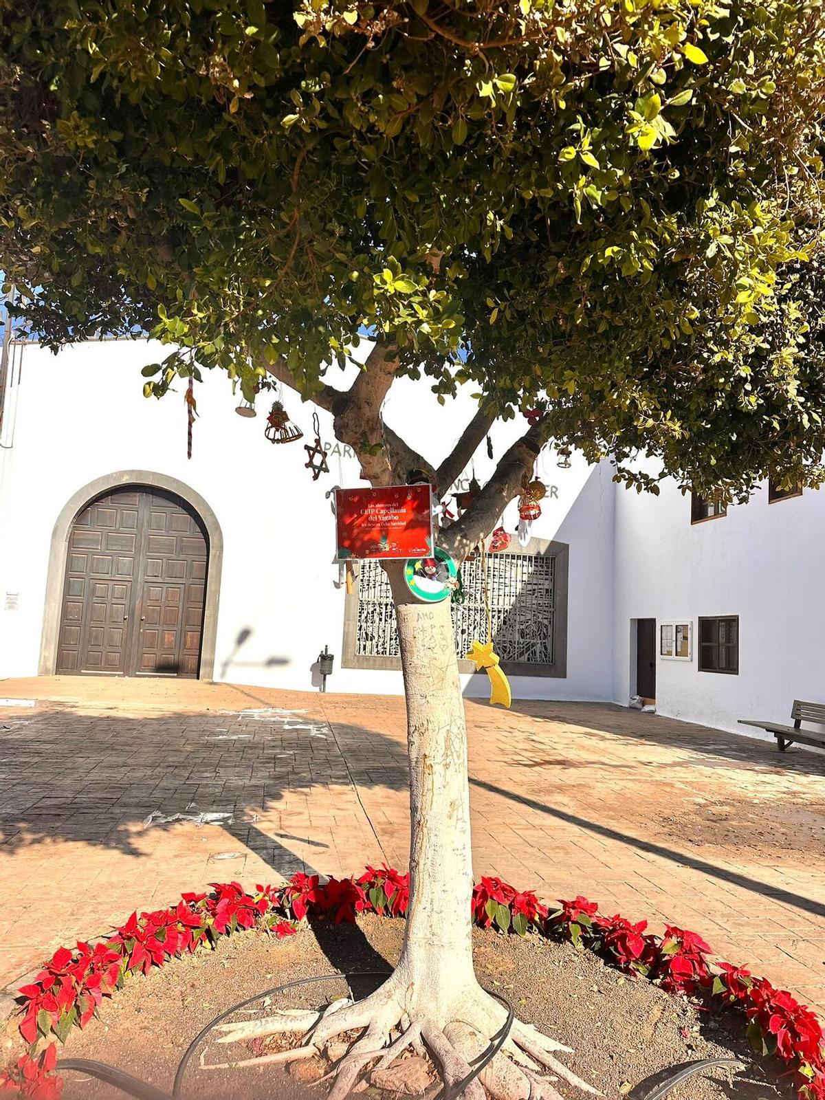 Escolares de Arrecife decoran los árboles de sus barrios Escolares de Arrecife decoran los árboles de sus barrios