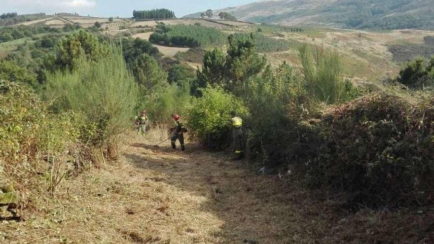 Desbroce manual de una finca para prevenir los incendios forestales.