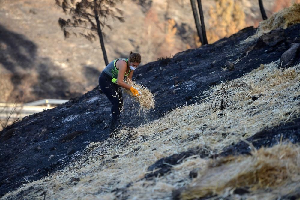 Incendios en Galicia | Paja en Ponte Caldelas