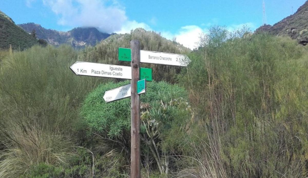 Señales de diferentes senderos de Candelaria.