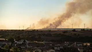 Zamora revive el drama del fuego y los desalojos, con Losacio como epicentro