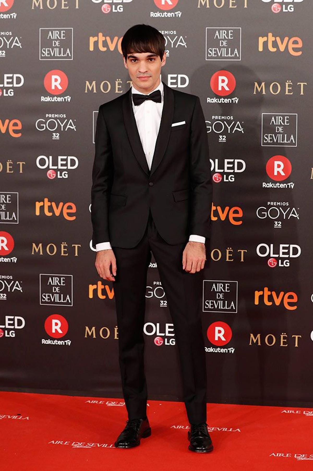 Premios Goya 2018, Eneko Sagardoy