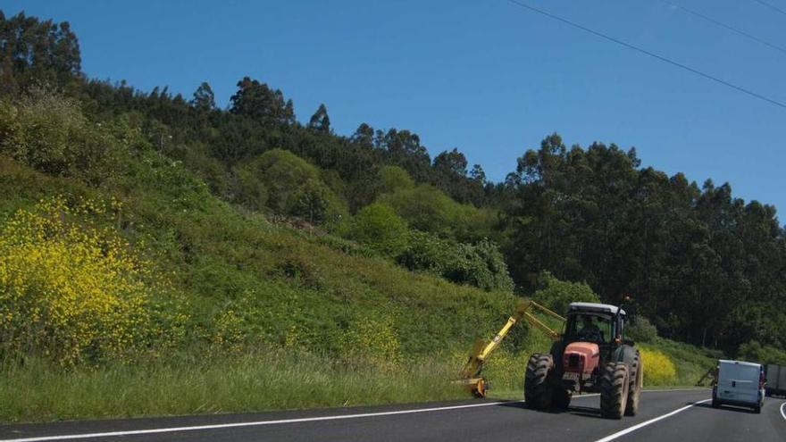 Comienza el desbroce de la carretera entre Candás y Tabaza