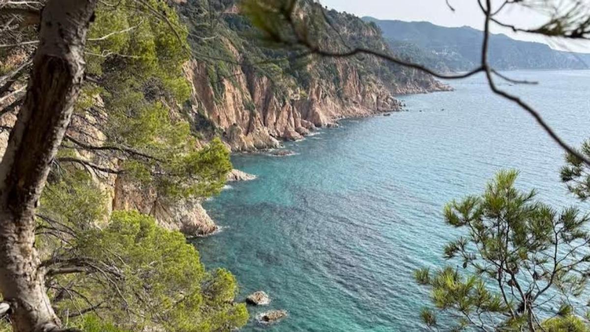 Cala Futadera.
