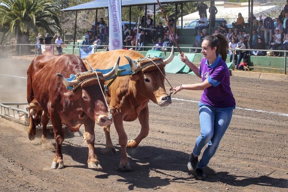 Tributo a la mujer en el deporte autóctono