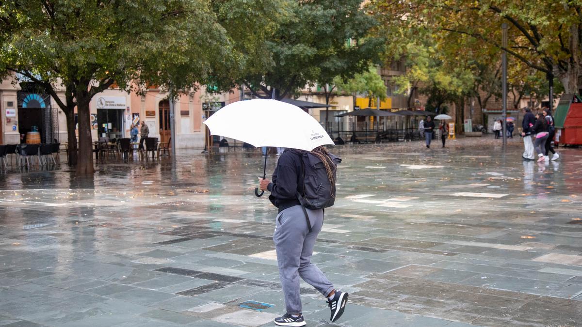 Lluvia en Palma