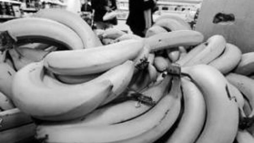 La policía decomisa 17 kilos de cocaína escondida entre plátanos de tiendas Lidl