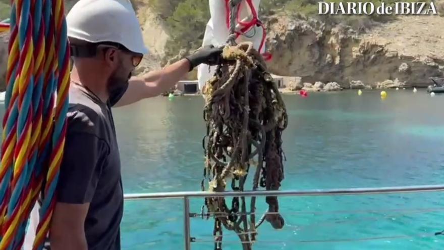 Vídeo: Limpieza en cala Vedella