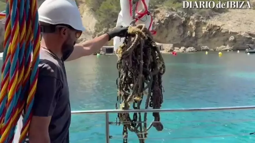 Vídeo: Limpieza en cala Vedella