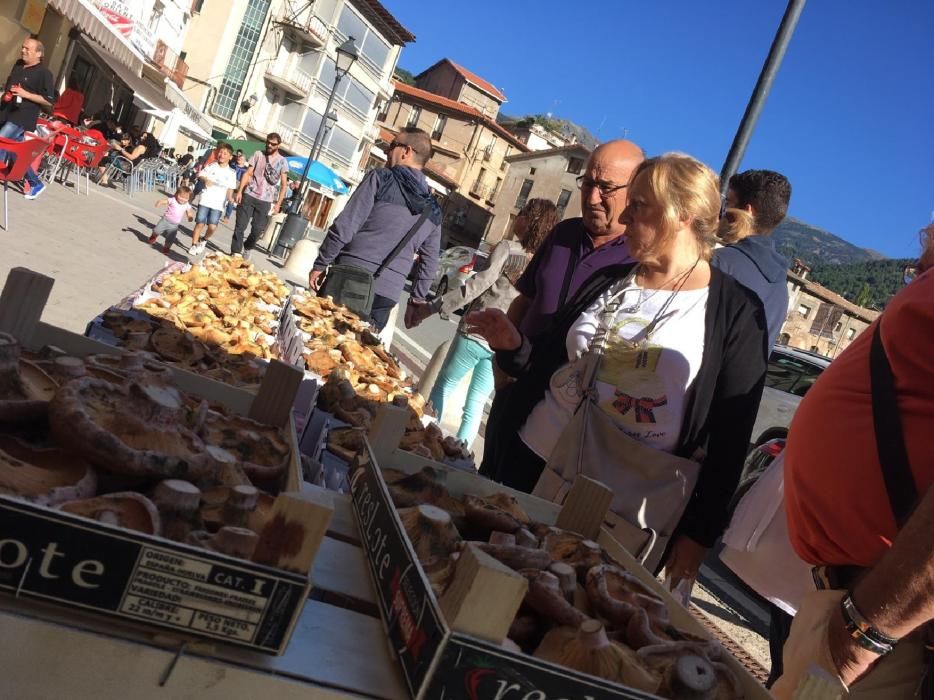 29a edició de la Fira del Bolet i el Boletaire de