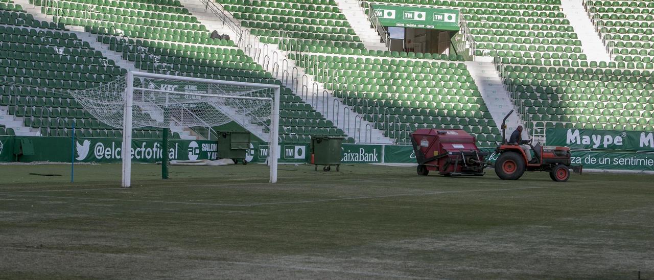 Un operario de la empresa «Servi cesped» realizando tareas de resiembra en el Martínez Valero.