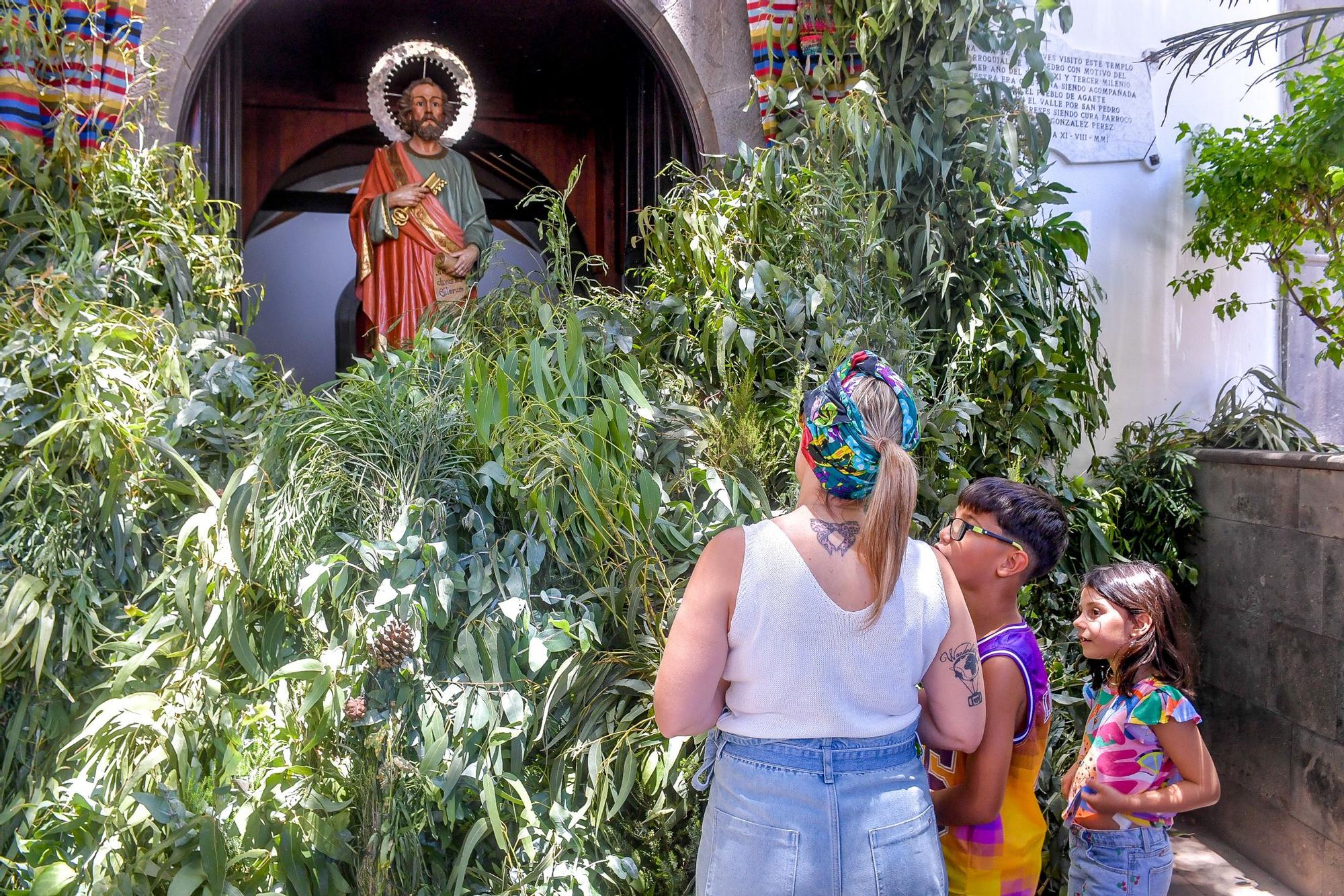 Bajada y fiesta de la Rama de San Pedro, Agaete