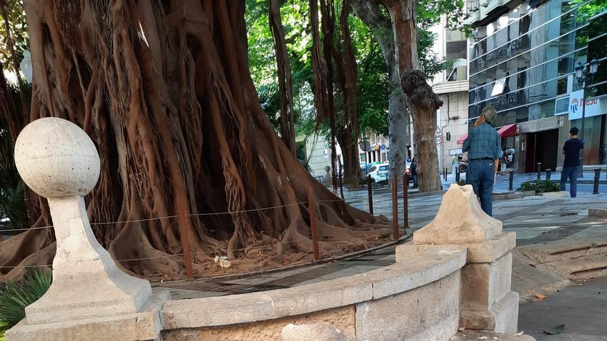 Un acto vandálico destroza un ornamento de la plaza Gabriel Miró en Alicante