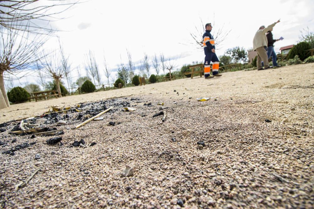 Plan de choque para limpiar el soto de la margen del Segura en Almoradí