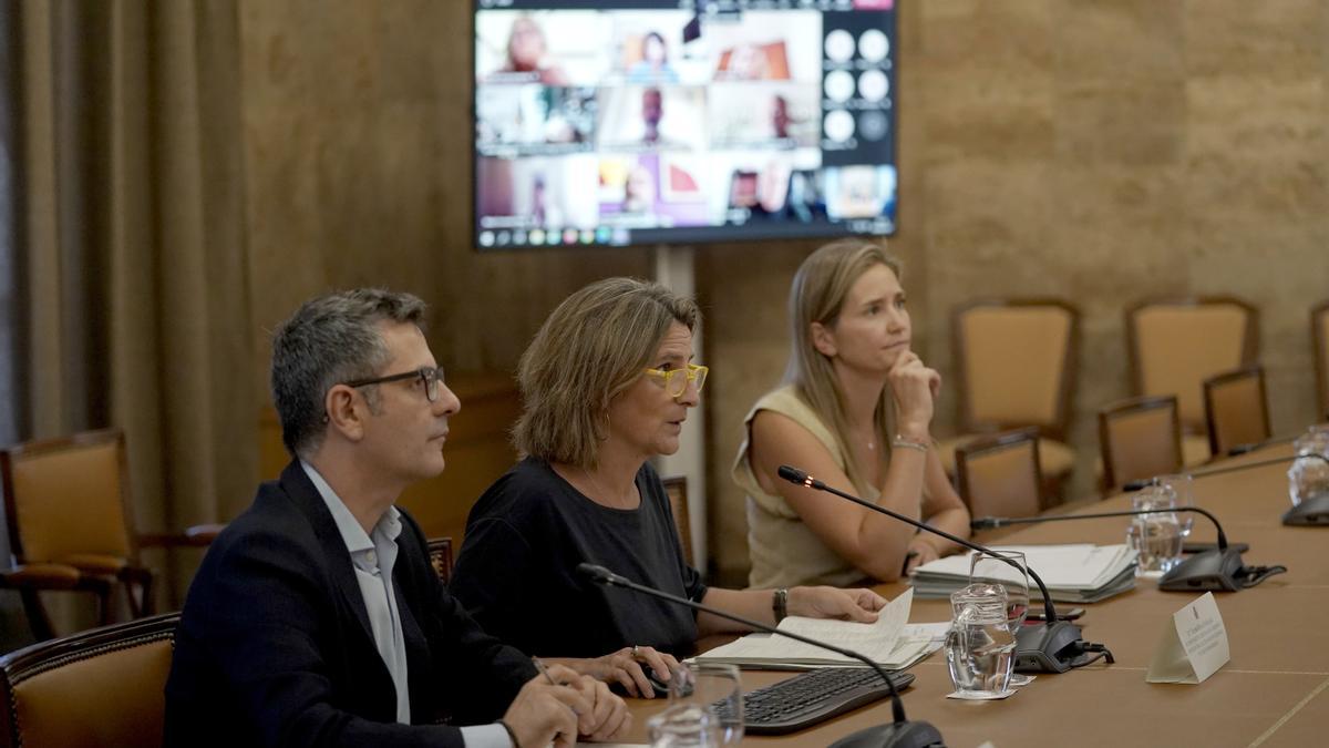 Ribera se reúne con los grupos parlamentarios en la ronda de reuniones para el Plan de Contingencia.