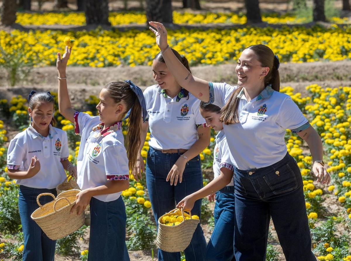 Reinas y damas de las Fiestas de Elche durante la recogida de flores