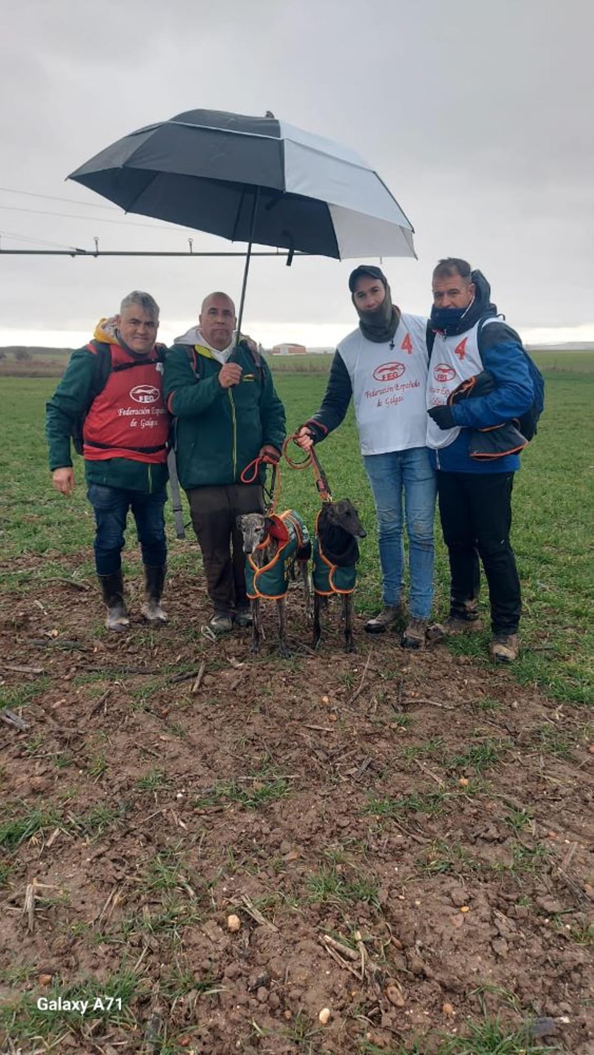 Uva de El Verdejo (blanco), en un enganche.