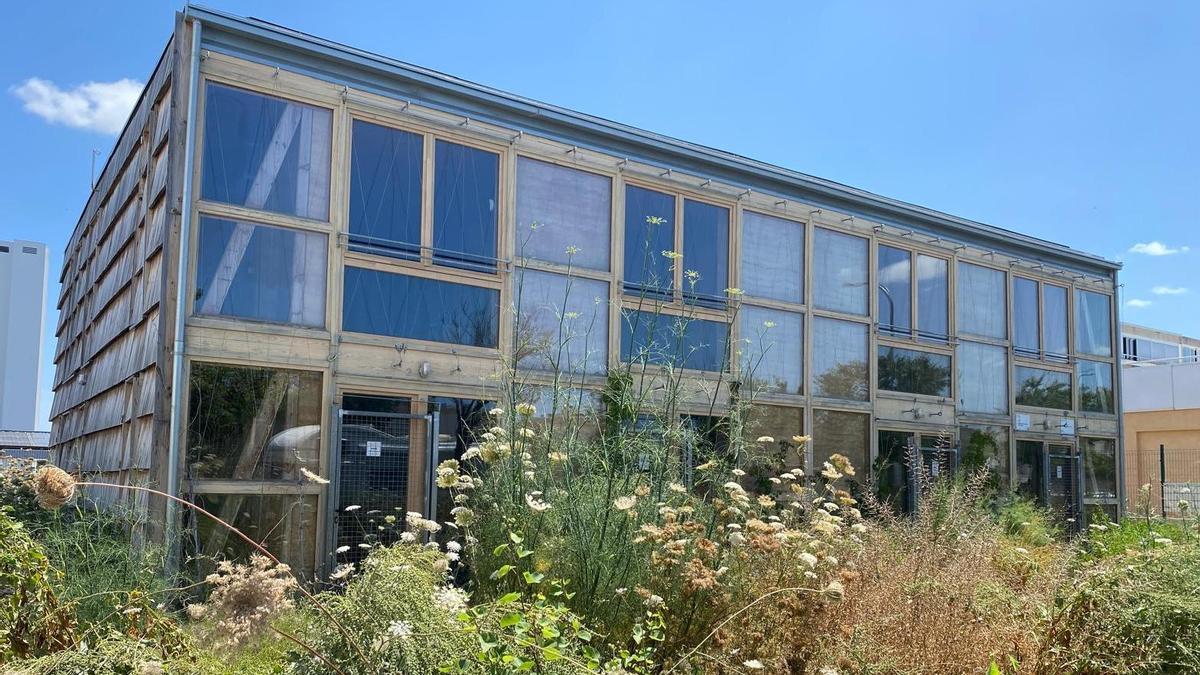 Las malas hierbas crecen alrededor de la nueva promoción de vivienda pública del Ibavi en el barrio de La Ribera de la Playa de Palma, tras dos años de abandono