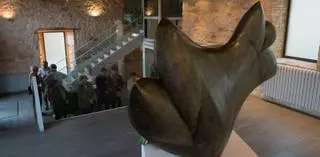 El Castillo y el Consultivo, propuestas de los expertos para el Museo de Lobo en Zamora