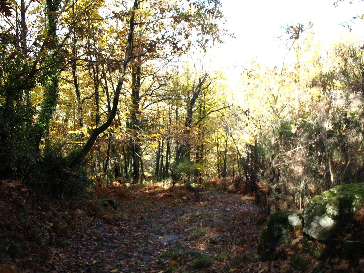 El otoño es una época perfecta para conocer Baños de Montemayor.