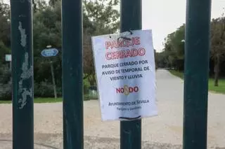 Cierran los parques de Sevilla por fuertes vientos previstos para este miércoles