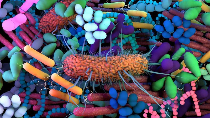 La revolución de la microbiota, nueva frontera de la medicina