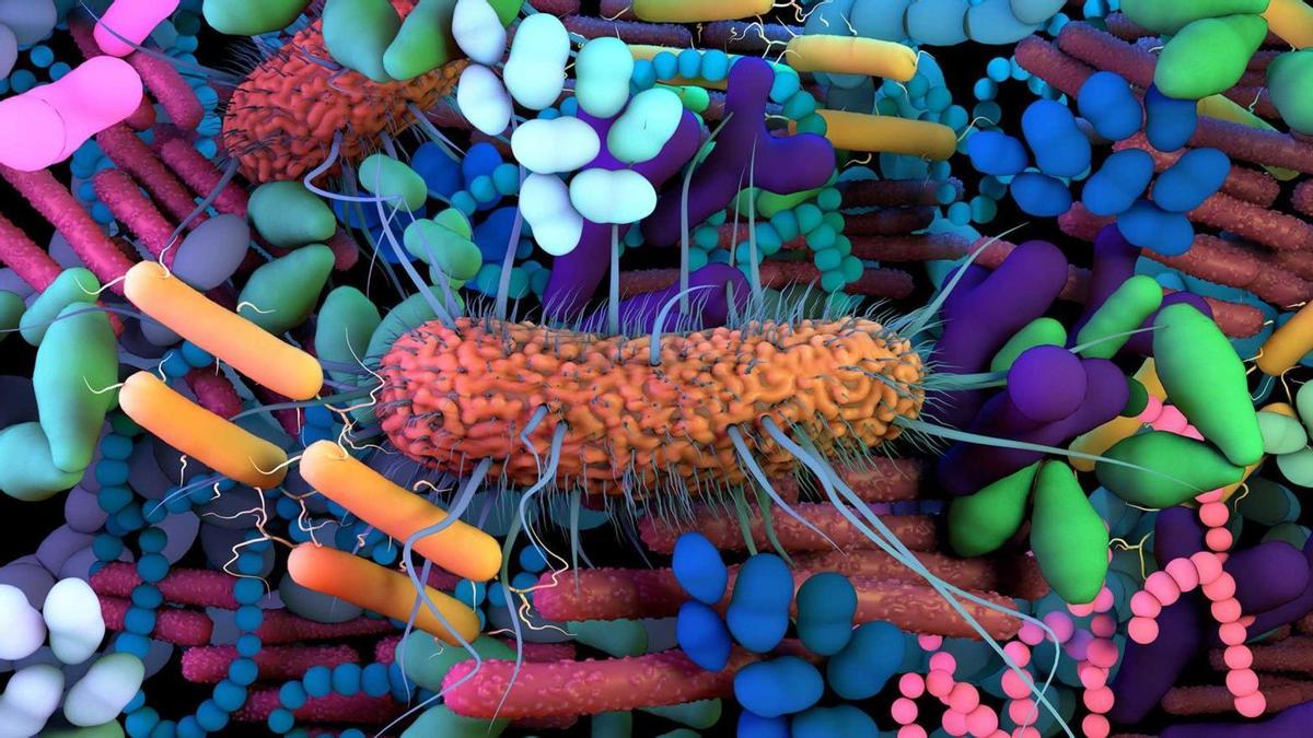Representación artística de microorganismos de la microbiota.