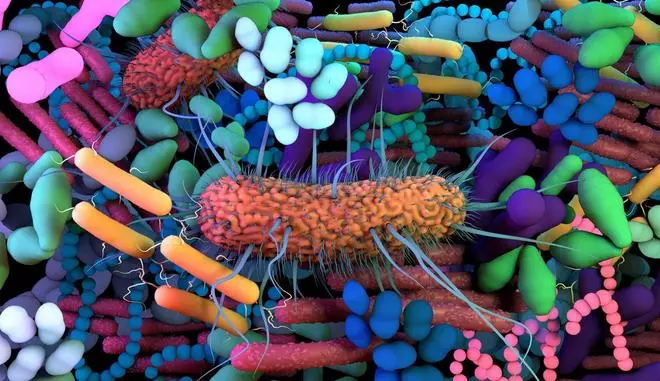 La revolución de la microbiota, nueva frontera de la medicina