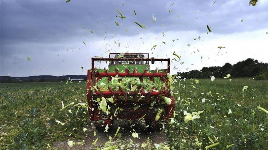 El Gobierno reparte 10 millones de euros de reserva de la PAC a 2.455 agricultores