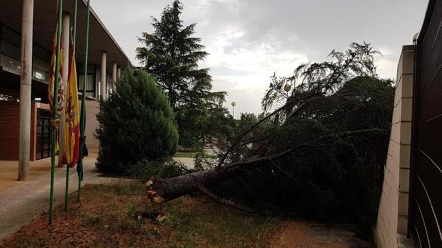 El granizo y la lluvia barren el Bajo Aragón y dañan cosechas