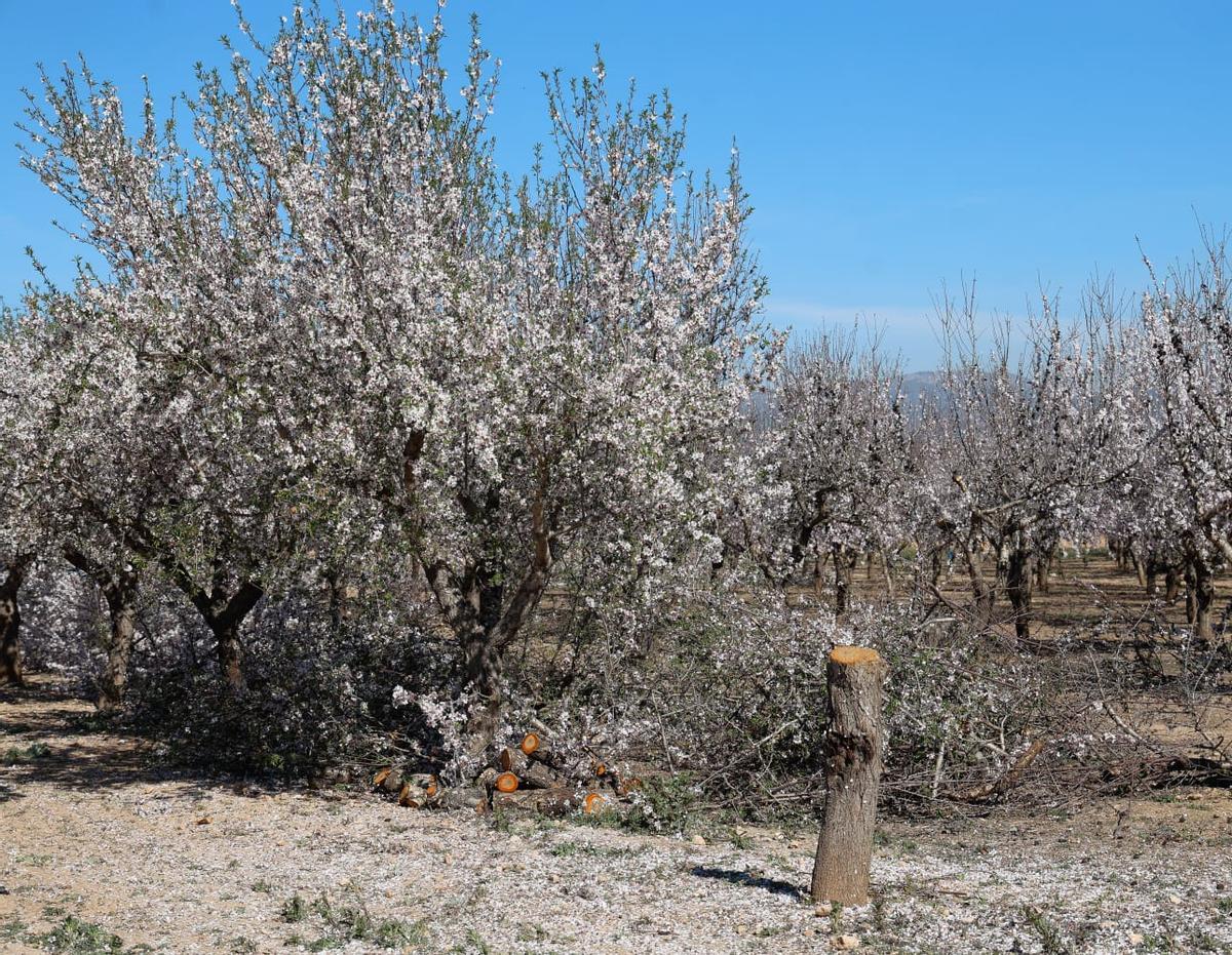 Protesta contra la planta de biometano de Llíria por el inicio de las obras