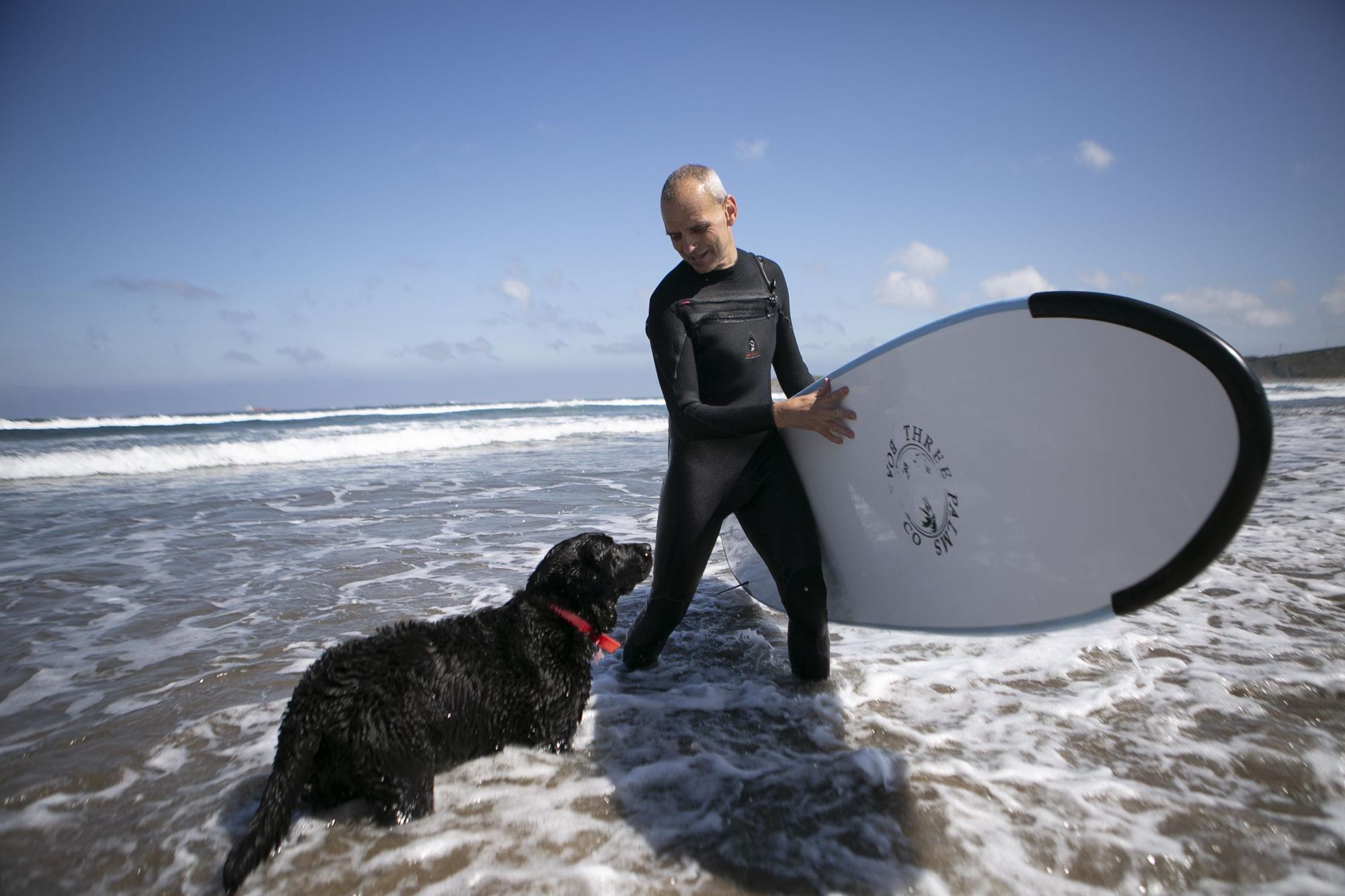 En imágenes: así fue el campeonato de surf para perros en Salinas