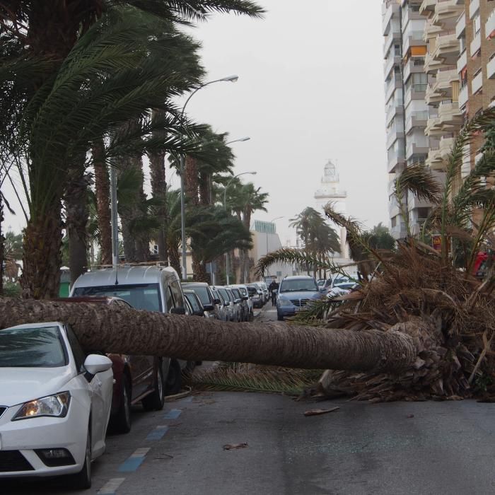 Temporal de viento y lluvia en Málaga