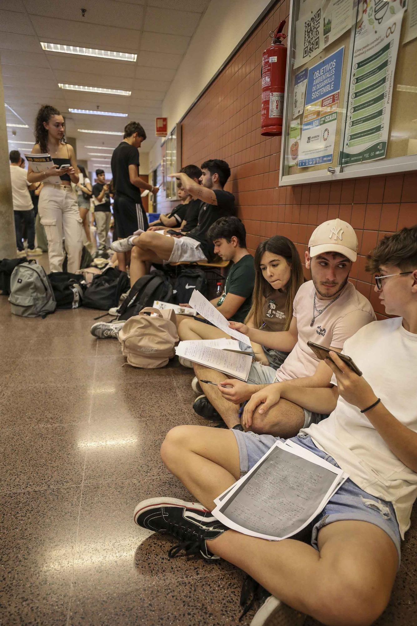 Nervios y repasos de ultima hora en la Selectividad en la UMH de Elche