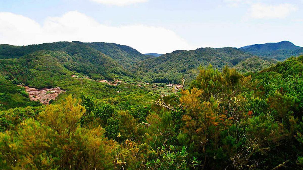 Los Aceviños, en Hermigua.