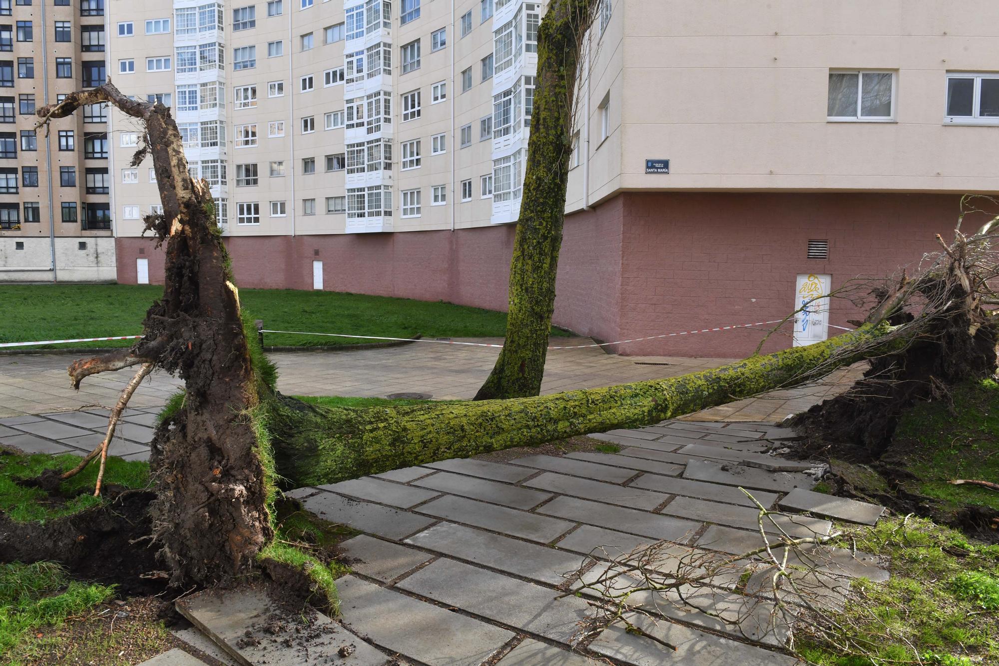 A Coruña en alerta roja: Temporal con fuerte oleaje en Riazor y rachas de más de 100 kilómetros por hora