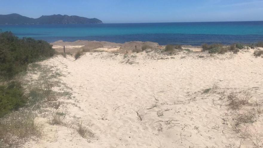 Anzeige wegen Sandaufschüttung am Strand von Cala Millor
