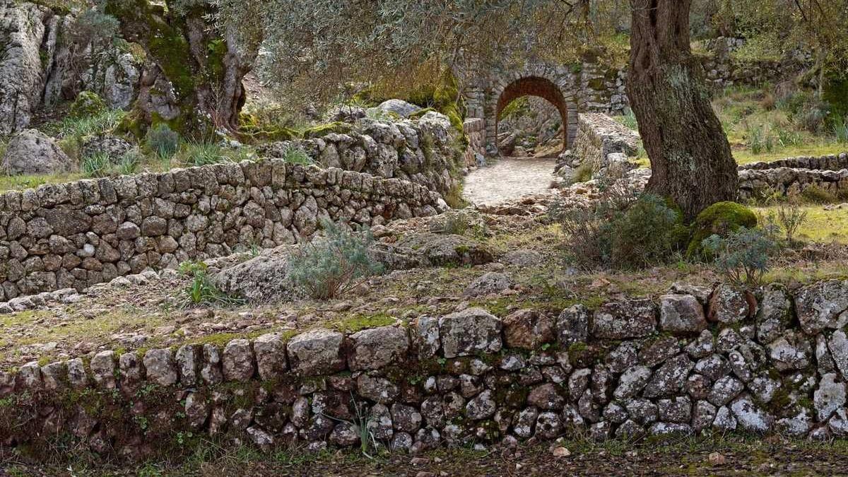 La formación de ‘margers’ ya tiene título oficial